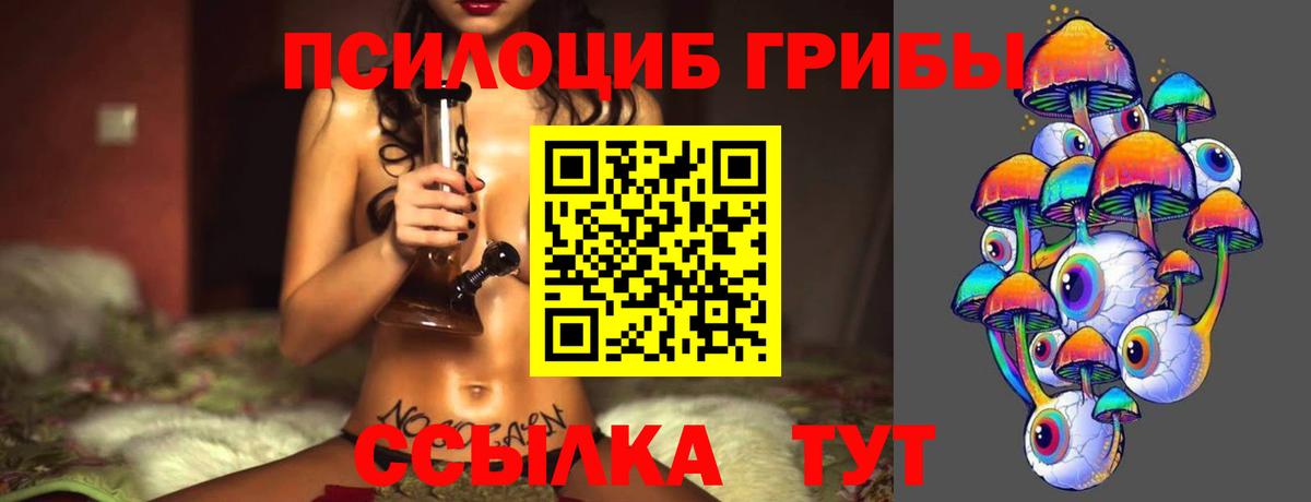 Псилоцибиновые грибы Psilocybine cubensis  Вход с VPN  Галлюциногенные грибы прущие грибы  Верхняя Пышма 